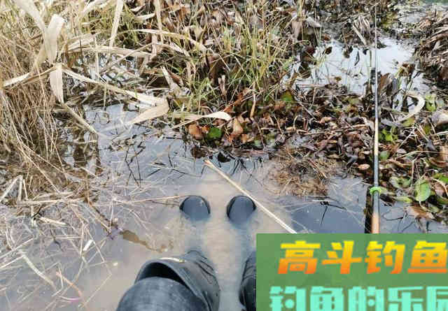 冬季钓鱼什么最重要