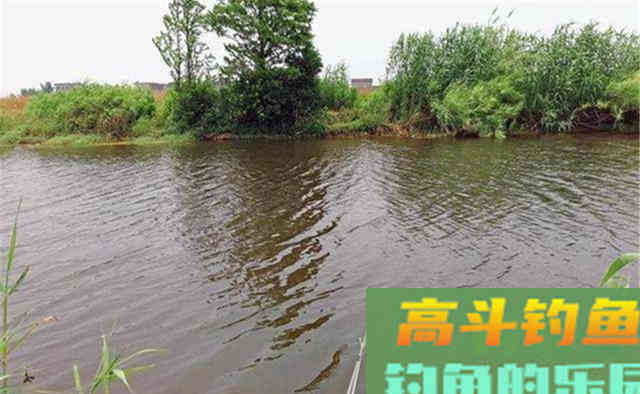 秋季野钓大鱼，遇上风大、水流急，用双铅钓法