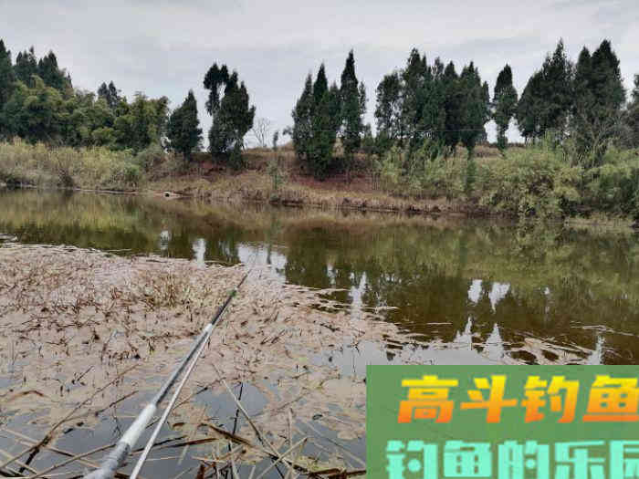 为什么初春上午好钓鱼，下午鱼口差，怎么钓好