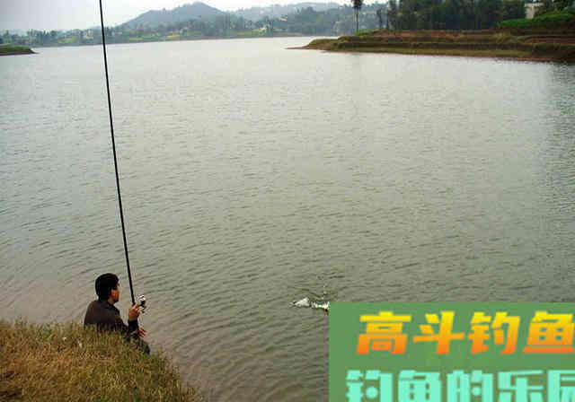 春季钓鱼必修课分享！想钓好鱼，建议学习看看