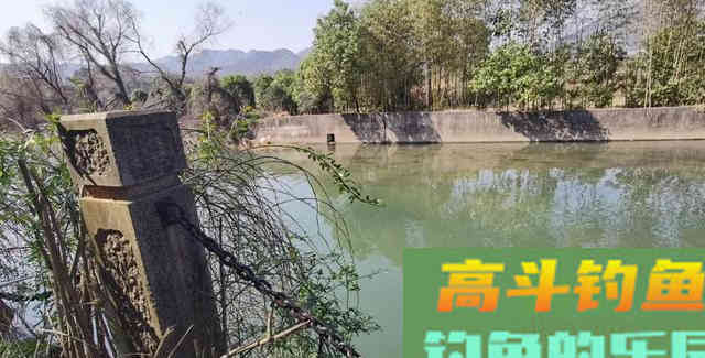 春天钓鱼别光顾着钓浅，有时候还得钓远，实践出真知