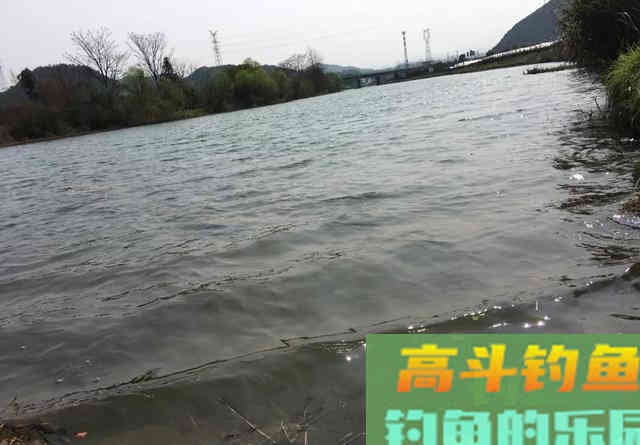 一到冬天就封竿？偷偷告诉你冬钓的3大优势