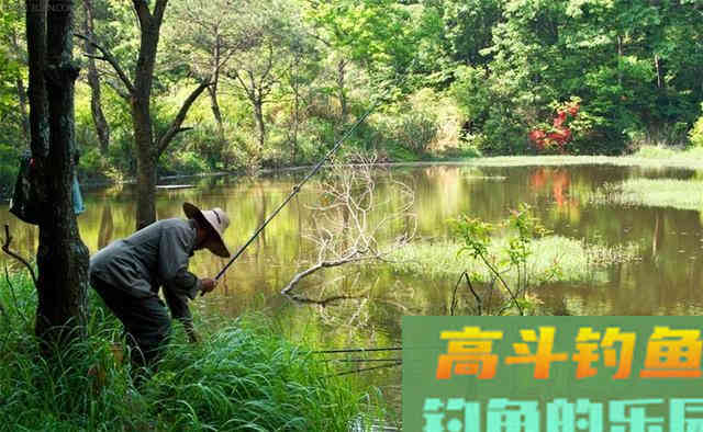秋钓阴，这才是秋季钓鱼的精髓