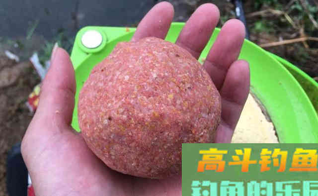 秋季钓鱼，应注意的5大要点
