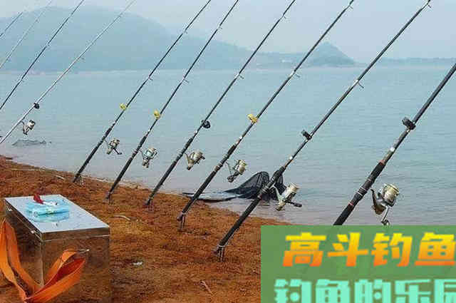 冬天冷就封竿入库？试试我这特色钓法