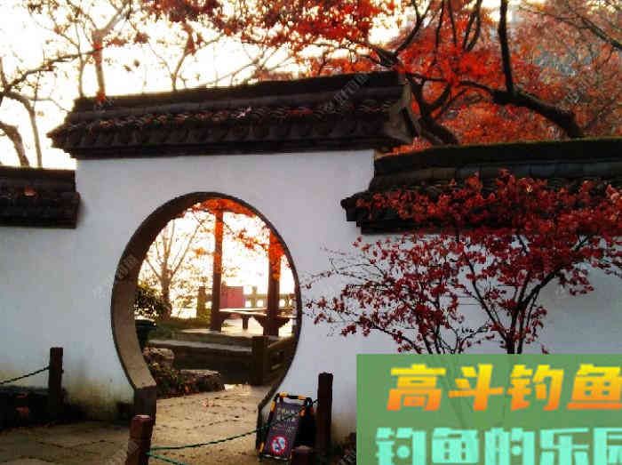 聊：冬钓的若干问题，来自高手的解答