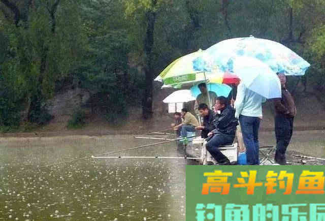 为何秋天下雨没鱼口？要明白钓深还是钓浅