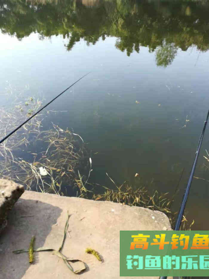 为什么初春上午好钓鱼，下午鱼口差，怎么钓好
