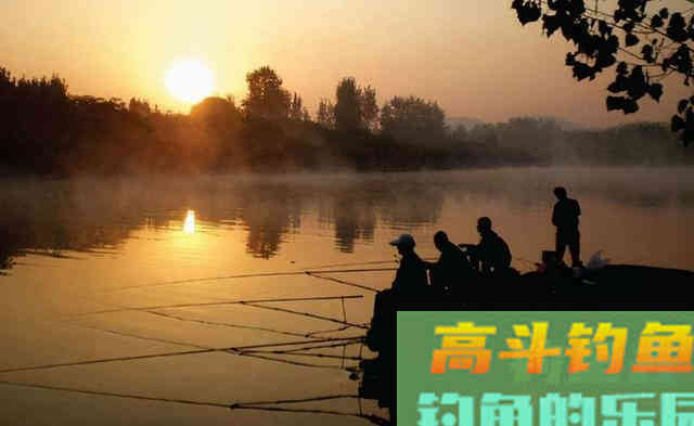 我的仲春、晚春野钓经验分享