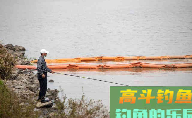 夏季温度越高越好钓的3种鱼