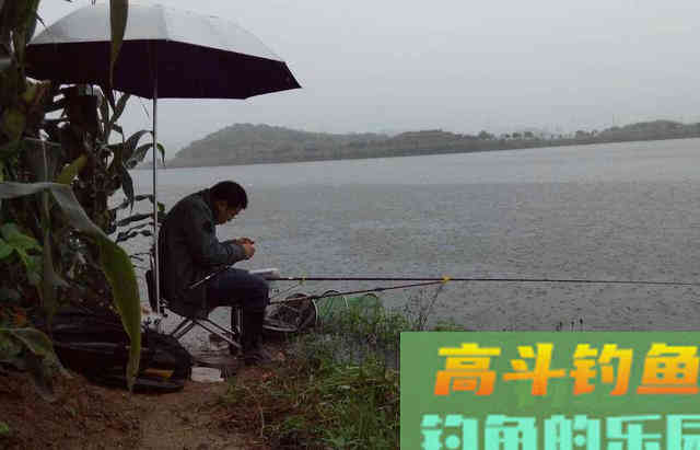 暮春钓鱼，简单且渔获好的攻略分享