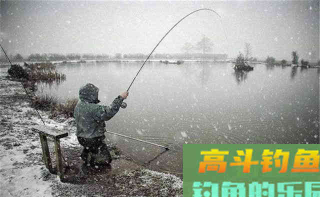 选择这三种天气出门，在这三种钓点下竿，想不爆护都难