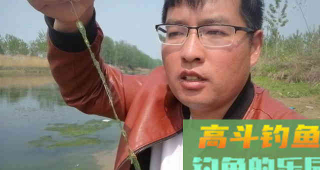 夏季钓鱼时，遇到这几种情况，果断采用离底钓
