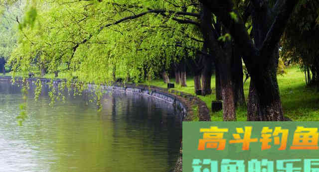 从无鱼吃钩，牵扯出春季温度上升，渔获翻倍的3个技巧