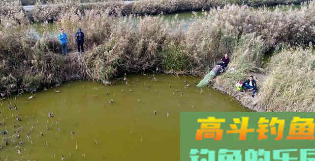 冬季钓鱼经验分享,出钓选择这3个时段 冬季钓鱼经验分享,出钓选择这3个时段
