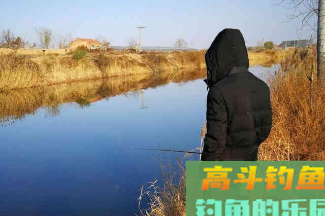 冷天就想封竿？这钓法改变了我的决定