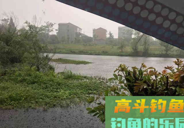 温度越高鱼越难钓？夏季作钓不同于春季