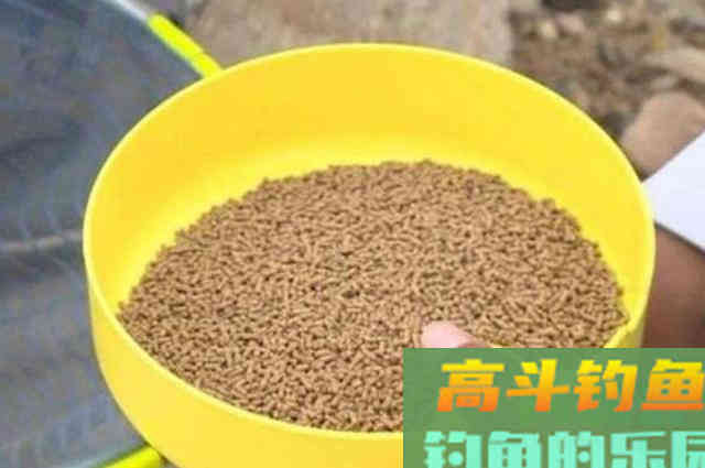 冬天一冷，鱼就不好钓，庆幸我有百试百灵的套路