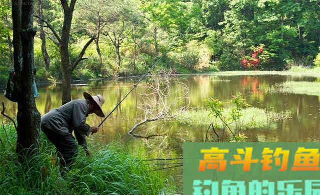 初秋钓鱼，有五找、三不钓