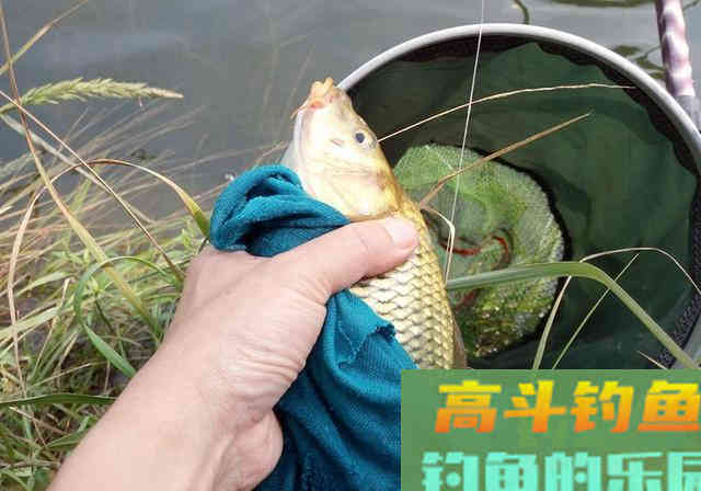 春季钓鱼，熟记3钓3不钓，钓好鱼很轻松