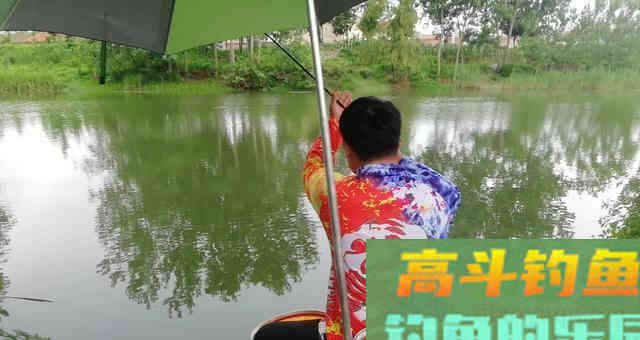 夏季钓鱼时，遇到这几种情况，果断采用离底钓