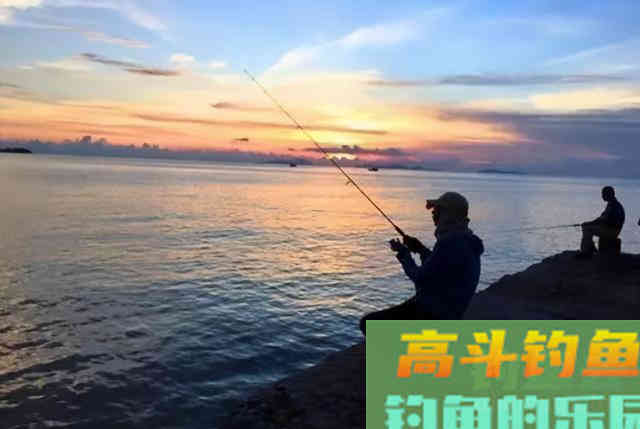 冬季钓鱼，鱼情发生了哪些变化？该如何应对呢