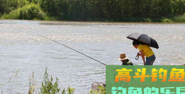 秋季自然水域鱼情好，野钓为什么频频跑鱼呢