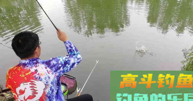 尽享春意爽钓鲫，小酌几杯太怡情