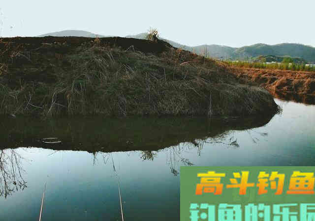 夏季天气太闷热，鱼不开口怎么办？试试这几招