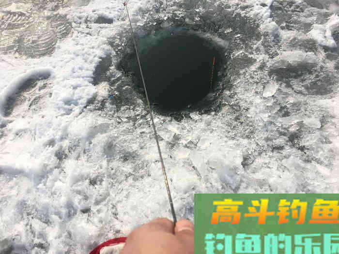 年假隔天钓，鱼获节节高--疫期冬钓总结超长篇