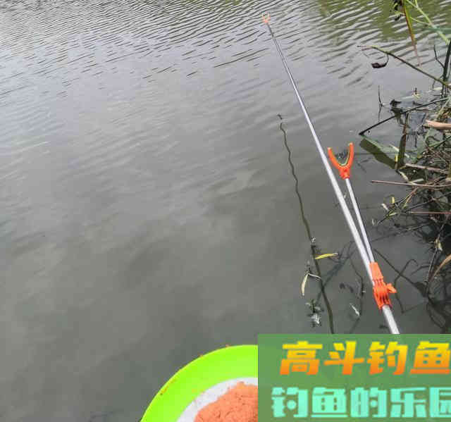 立冬后，台钓和传统钓哪个更香