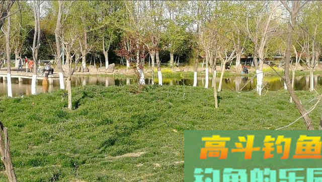 暮春钓鱼抓住这四大要点，大鲫大鲤真的不是事！