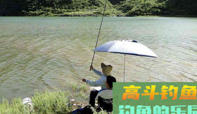 钓鱼遇到倒春寒，应该怎么办？通过这几个方法解决