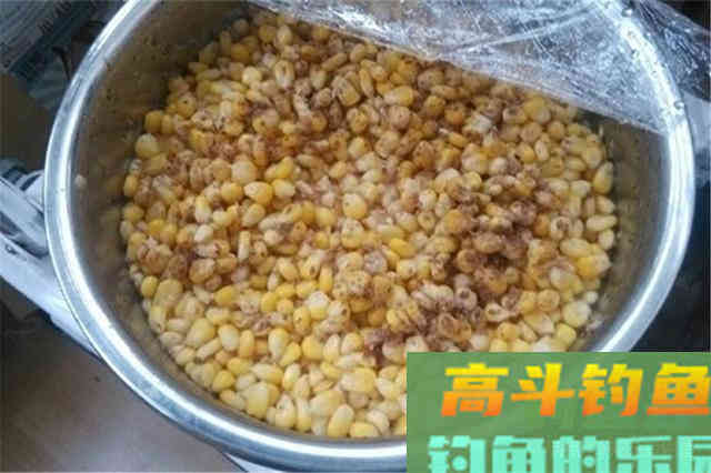 秋分过后钓大鱼，有这4宜4不宜