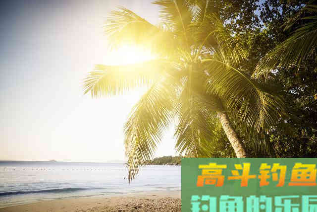 春天钓鱼的5个“秘密”，助你连竿不断