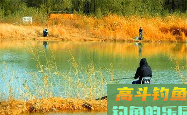 寒露之后钓鱼，路数上有4钓4不钓