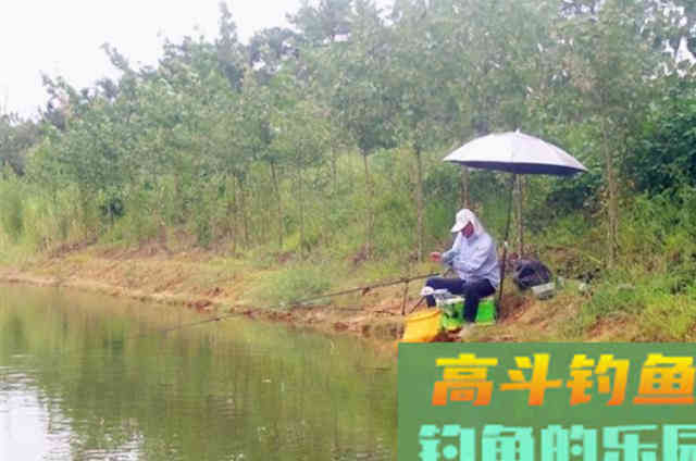 秋钓掌握这5个调整策略，钓不过瘾