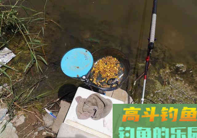 秋季降温钓鱼难？巧用水质4点变化，反让大鱼狂咬钩