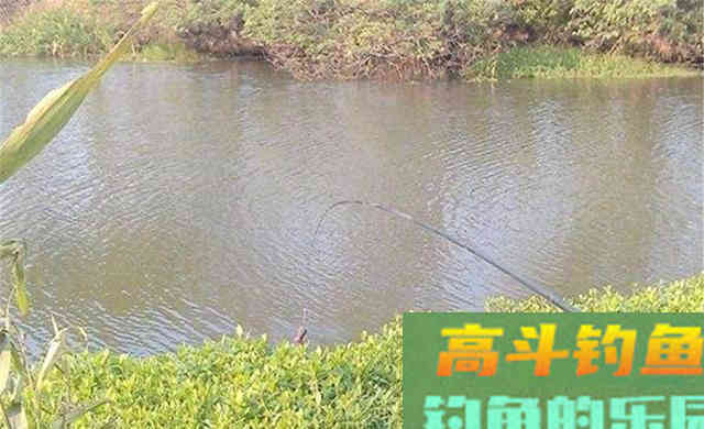 冬季钓鱼，不发窝未必是天冷，聚鱼有这3不宜