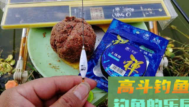 晚秋如何钓好混养塘，先做好这七点