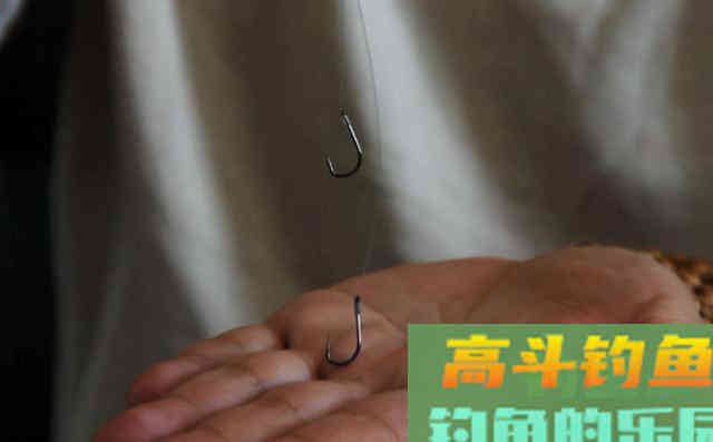 冬季想要钓得多，就要掌握核心技术