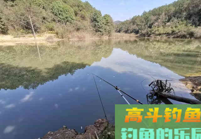 夏天鱼也怕热，别再傻坐一整天，野钓记住这五不钓