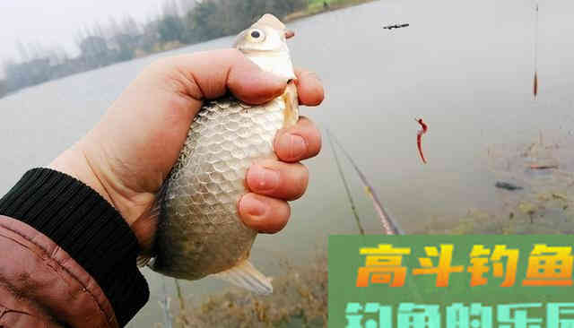 春季钓鱼，要不要打窝