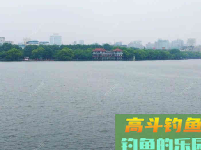 夏季最佳出钓时间、选择钓位，与钓技和饵料方面的解答