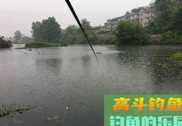 春季什么天气好钓鱼？了解天气和鱼情的关系
