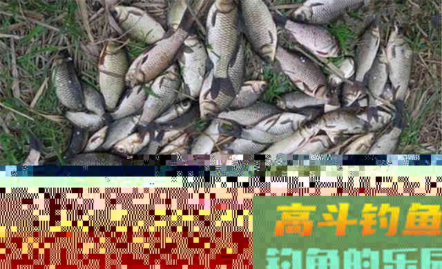 冬季钓鱼，不在这4种钓点下竿，注定空军