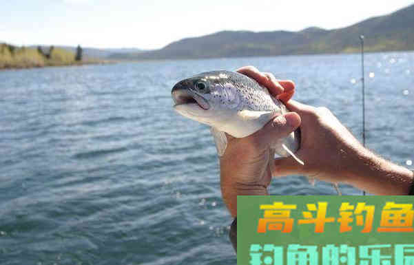 春天真的是钓鱼黄金季？实践证明这个季节才是好季节