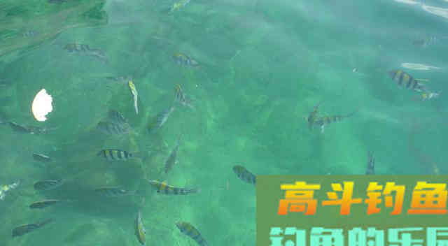 辟谣：夏季钓不到鱼不是技术差，而是这3点