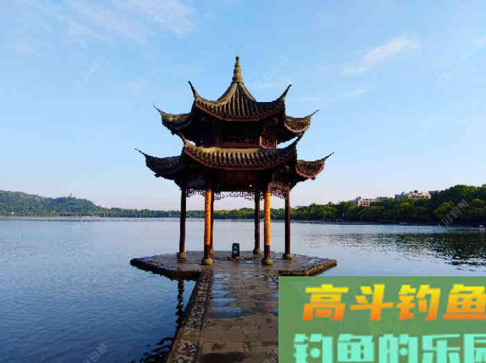 夏季为什么难钓鲫鱼？通过这3点分析，来解决钓大鲫难问题