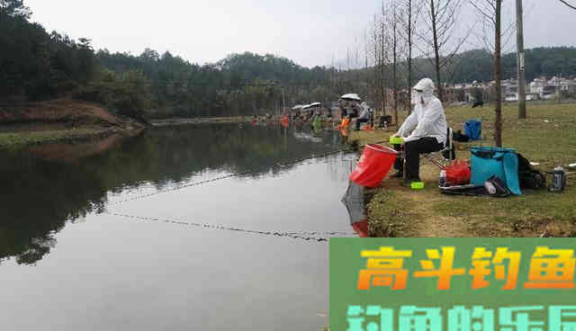 春季水库钓鱼，应该 守 还是 走
